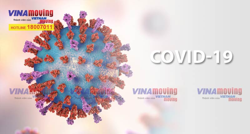 Có nên chuyển nhà trong lúc dịch Virus Corona - nCoV bùng phát